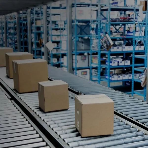 Automated conveyor and sortation system moving cartons